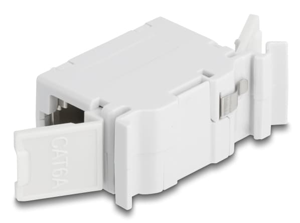 Delock RJ45-kobling Cat.6A hunn-til-hun med støvdeksel for DIN-skinnemontering grå