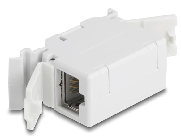 Delock RJ45-kobling Cat.6A hunn-til-hun med støvdeksel for DIN-skinnemontering grå