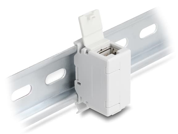 Delock RJ45-kobling Cat.6A hunn-til-hun med støvdeksel for DIN-skinnemontering grå