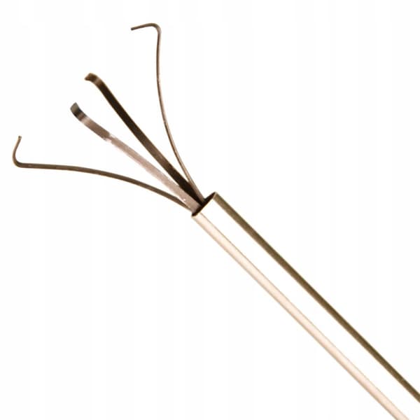 Glasplanteholder (planteterrium)