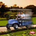 Miniatyrbillede 9 af 11: Golfvogn Controller 36V 350A, Hastighedsregulator til EZGO TXT 1206MX-4301