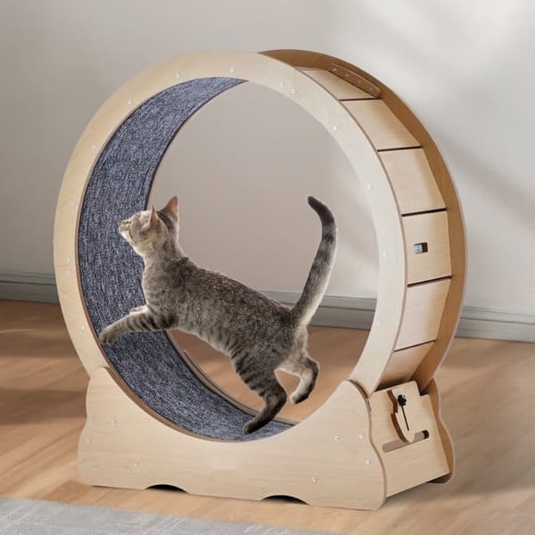 Stort Kattetræningshjul, Løbebånd til Katte, 91 cm Diameter, Motion for Husdyr, Stabil Konstruktion