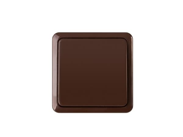 Vilma Switch P110-010V Top Cl1 Brown Sl+