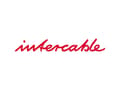 Miniatyrbilde 1 av 3: Intercable 100597 AV3911 Reserveklinge