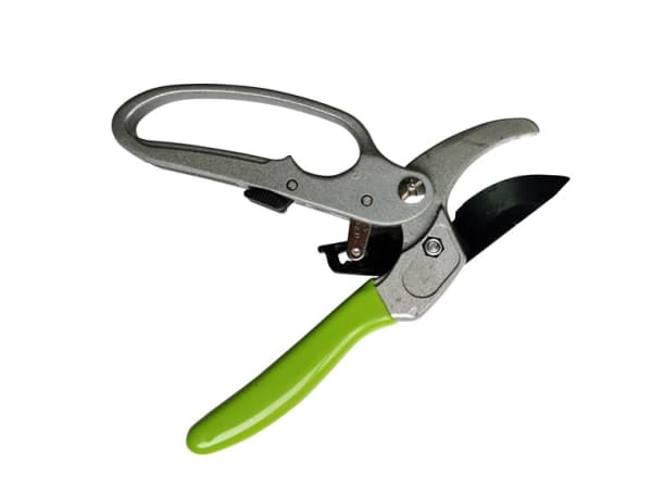 Okko Bypass Pruner 20Cm Silver Painted