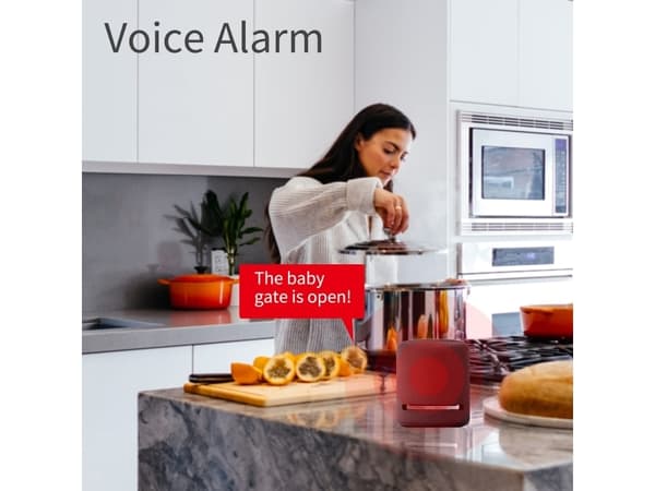 THIRDREALITY Door Sensor