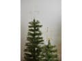 Pikkukuva 3 / 5: Sirius Home 51645, Light decoration figure, Transparent, 30 lamp(s), LED, Gold, AAA