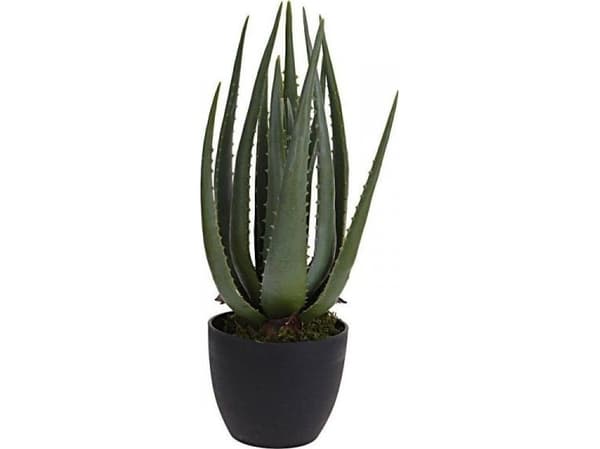 Hjemmeinnredning Kunstig Aloe i 45 cm gryte