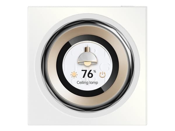 Aqara Display Switch V1