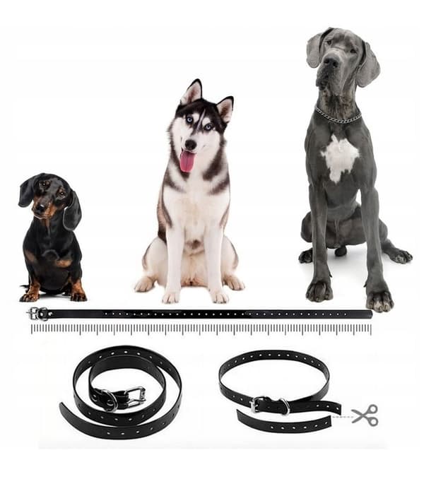 ELEKTRISK HALSBAND FÖR HUNDTRÄNING MED FJÄRRKONTROLL VATTENTÄT RÄCKVÄND 800 M