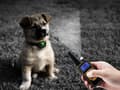 Miniatyrbild 6 av 10: ELEKTRISK HALSBAND FÖR HUNDTRÄNING MED FJÄRRKONTROLL VATTENTÄT RÄCKVÄND 800 M