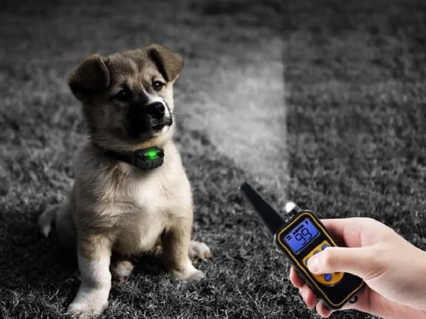 ELEKTRISK HALSBAND FÖR HUNDTRÄNING MED FJÄRRKONTROLL VATTENTÄT RÄCKVÄND 800 M