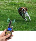 Miniatyrbild 7 av 10: ELEKTRISK HALSBAND FÖR HUNDTRÄNING MED FJÄRRKONTROLL VATTENTÄT RÄCKVÄND 800 M