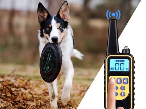 ELEKTRISK HALSBAND FÖR HUNDTRÄNING MED FJÄRRKONTROLL VATTENTÄT RÄCKVÄND 800 M