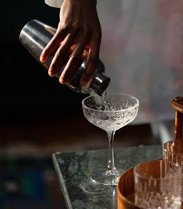 Professionelt bartendersæt til drinks shaker cocktailshaker 23 el.