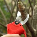 Miniatyrbillede 10 af 11: Kraftig ledningsfri elektrisk havebeskærer grensaks 2x 48V