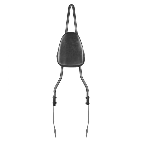 Harley-Davidson Dana, Moottoripyörän Selkänoja Sissy Bar, Kestävä ja Mukava