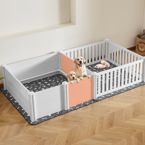 Valpningslåda för extra stora hundar, Modell 237x112x46 cm, 2 rum, robust konstruktion