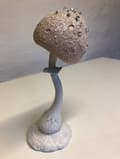 Miniatyrbillede 3 af 3: Rund Svamp til dekoration