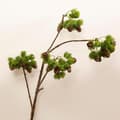 Miniatyrbillede 2 af 2: 2 x