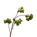 Miniatyrbillede 1 af 2: 2 x