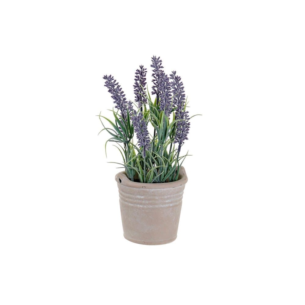 Dekorativa blommor DKD Home Decor Cement Järn PE (11 x 11 x 27 cm)