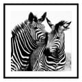 Miniatyrbild 1 av 3: Tavla Zebra Glas (2 x 50 x 50 cm)