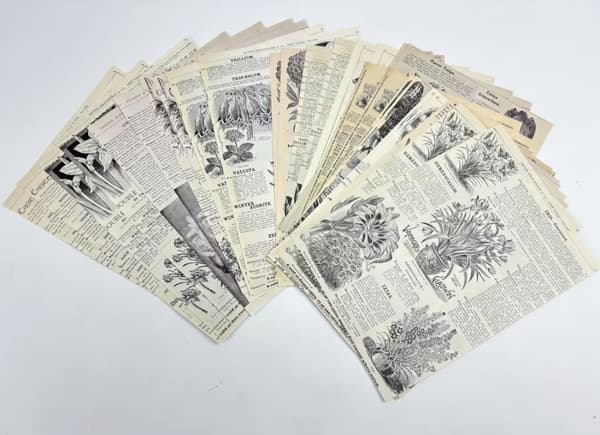 Vintage utklippsbok papir Model 1