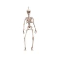 Miniatyrbillede 2 af 2: Halloween Decorations My Other Me 49 cm Skeleton