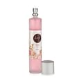 Pikkukuva 2 / 2: Air Freshener Spray Acorde 100ML SPRY-RO Pink 100 ml (12 Units)