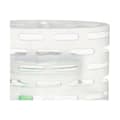 Pikkukuva 4 / 4: Air Freshener Acorde 1804207 Jasmine 400 g Gel Balls (12 Units)