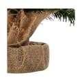 Miniatyrbild 3 av 4: Christmas Tree Everlands Green (60 cm)
