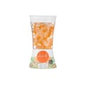 Pikkukuva 2 / 2: Air Freshener Acorde F-612 Orange Ginger 150 g Gel (12 Units)