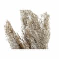 Pikkukuva 2 / 3: Decorative Plant DKD Home Decor Feathers PVC Fibre (35 x 25 x 55 cm) (2 Units)
