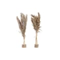 Pikkukuva 1 / 3: Decorative Plant DKD Home Decor Feathers PVC Fibre (35 x 25 x 55 cm) (2 Units)