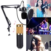 Studio Live Streaming Broadcasting Recording Microphone Stand