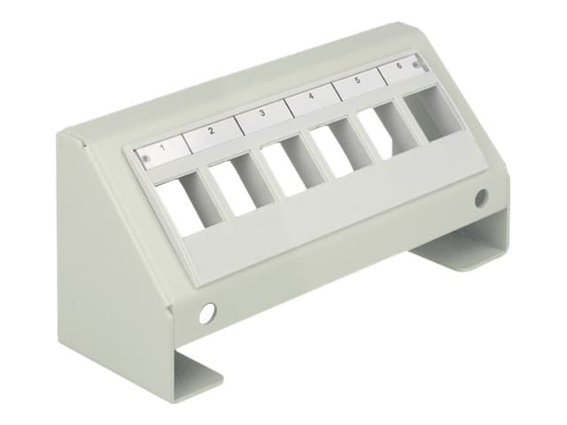 Delock Keystone Multimedia Panel - Ytmonterad distributionsbox - grå - 6 portar