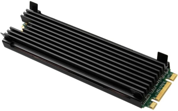 Thermal Grizzly TG-M2SSD-ABR, Svart