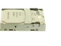 HPE Quick-release Midline - Harddisk - 1 TB - hot-swap - 3.5" LFF - SATA 3Gb/s - 7200 rpm