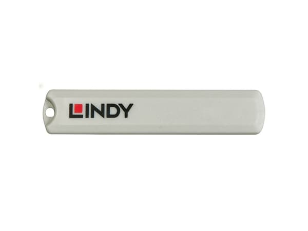 Lindy 40425, Porttilukko + avain, USB Type-C, vaaleanpunainen, 5 kpl
