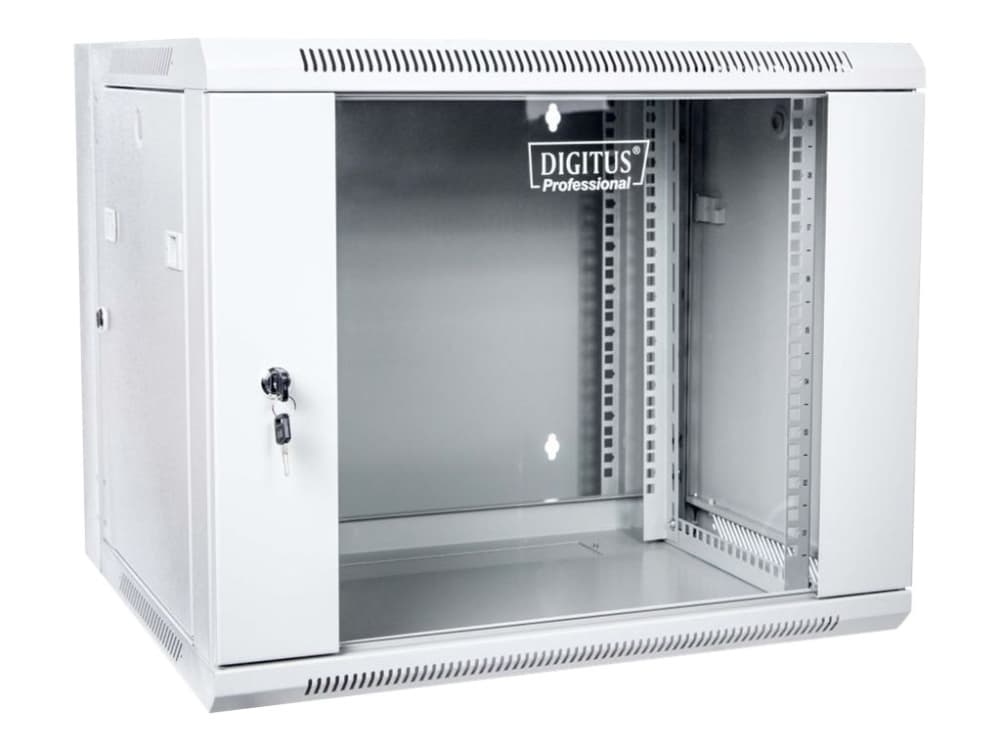 DIGITUS Professional DN-WD19 09U/550 - Skåp - väggmonterbart - grått, RAL 7035 - 9U - 19"