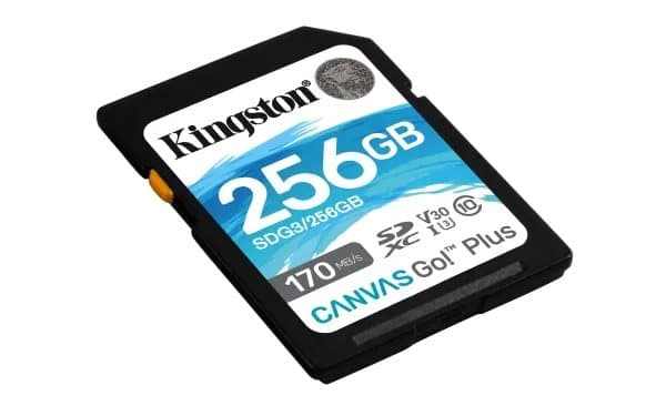 Kingston Canvas Go! Plus - Flash-minneskort - 256 GB - Video Class V30 / UHS-I U3 / Class10 - SDXC UHS-I