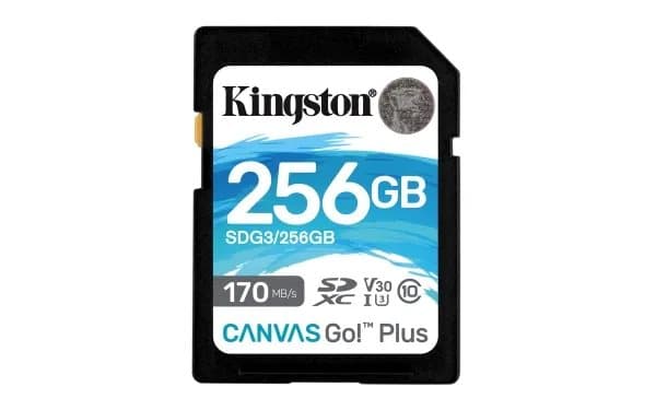 Kingston Canvas Go! Plus - Flash-minneskort - 256 GB - Video Class V30 / UHS-I U3 / Class10 - SDXC UHS-I
