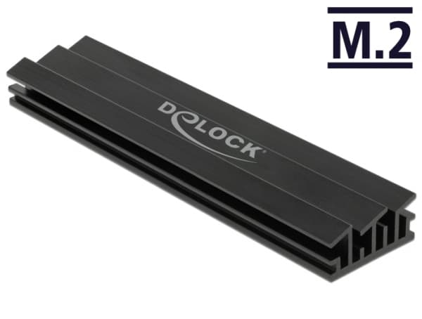 Delock - Heatsink for solid state disk - svart