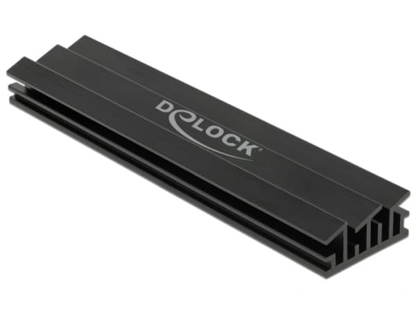 Delock - Heatsink for solid state disk - svart