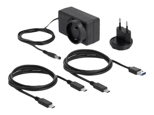 Delock - HDD-dokkestasjon - brønner: 1 - 2,5" / 3,5" delt - SATA 6Gb/s - USB-C - gjennomsiktig Gjennomsiktig