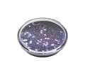Miniatyrbild 4 av 5: PopSockets Swappable PopGrip - Fingergrepp/vikbart ställ för mobiltelefon - Tidepool Galaxy Purple - purple glitter floating in liquid
