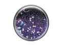Miniatyrbild 2 av 5: PopSockets Swappable PopGrip - Fingergrepp/vikbart ställ för mobiltelefon - Tidepool Galaxy Purple - purple glitter floating in liquid
