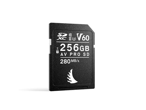 Angelbird SD-kort AV PRO UHS-II 256GB V60