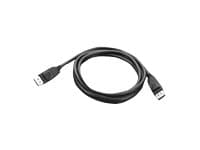 Lenovo - DisplayPort-kabel - DisplayPort (hann) til DisplayPort (hann) - 1.8 m - FRU - for ThinkCentre M75t Gen 2; M80s Gen 3; M90a Gen 3; M90q Gen 2
